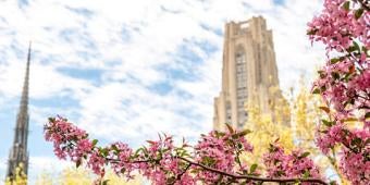 Cathedral and flowers